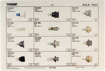 Multi Purpose Light Bulb Kit