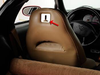 Seat Back Panel