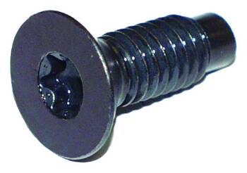 Windshield Hinge Screw
