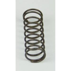 Fuel Pressure Regulator Spring