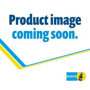 Shock Absorber Reservoir