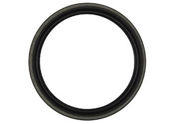 Engine Crankshaft Seal