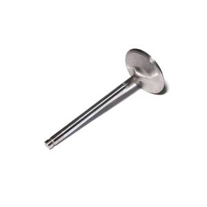 Engine Intake Valve