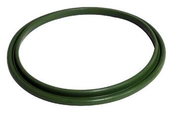 Fuel Injection Pressure Regulator Seal