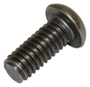 Windshield Hinge Screw