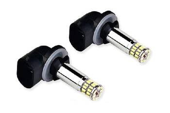 Fog Light Bulb