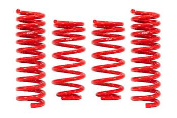 Coil Spring Lowering Kit