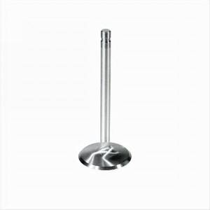 Engine Exhaust Valve