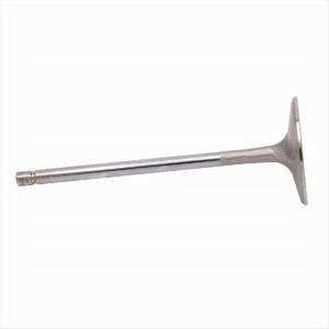 Engine Intake Valve