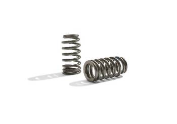 Engine Valve Spring Kit