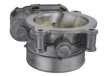 Fuel Injection Throttle Body