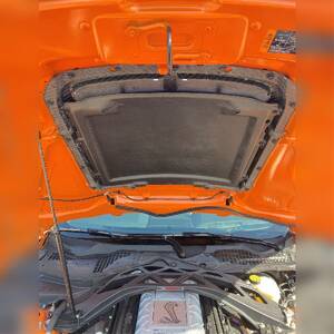 Hood Scoop