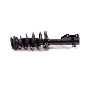 Suspension Strut and Coil Spring Assembly
