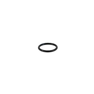 Fuel Injector O-Ring