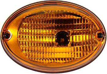 Turn Signal Indicator Light