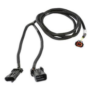 Alternator Harness