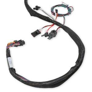 Engine Wiring Harness