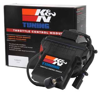 Fuel Injection Throttle Control Actuator Module