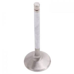 Engine Intake Valve