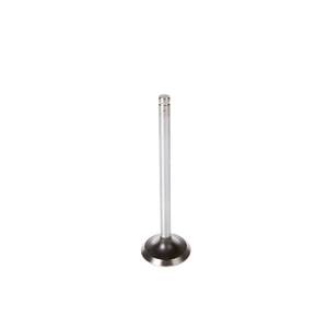 Engine Exhaust Valve
