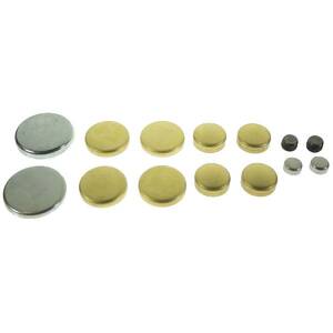 Engine Expansion Plug Kit