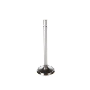 Engine Intake Valve