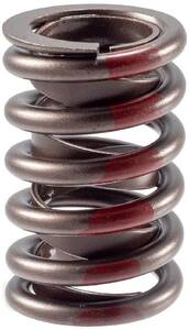 Engine Valve Spring