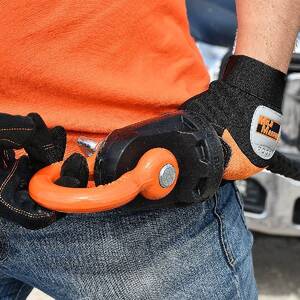 Winch Shackle