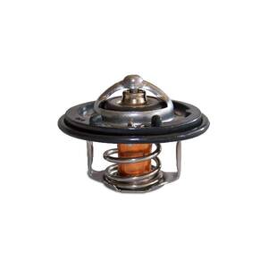 Engine Coolant Thermostat