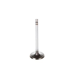 Engine Intake Valve