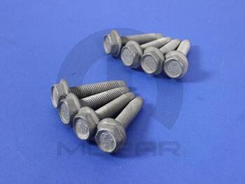 Engine Oil Cooler Bolt