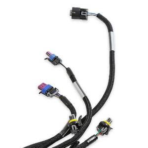 Engine Wiring Harness