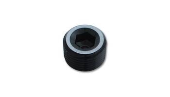 Pipe Plug