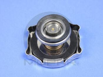Radiator Cap
