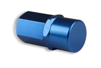 Fuel Injection Pressure Regulator