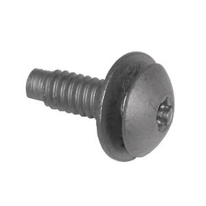 Dash Panel Screw