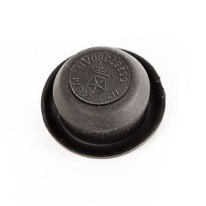 Door Plug