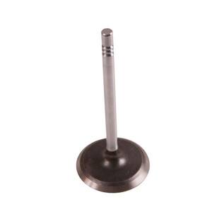 Engine Intake Valve