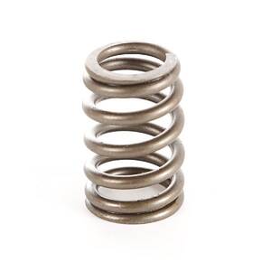 Engine Valve Spring