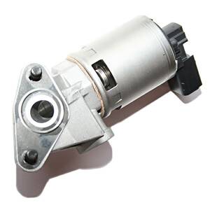 Exhaust Gas Recirculation (EGR) Valve