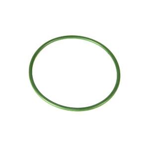 Fuel Pump O-Ring