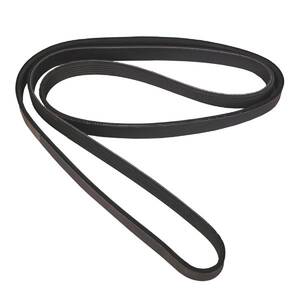 Serpentine Belt