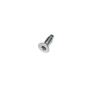 Windshield Hinge Screw