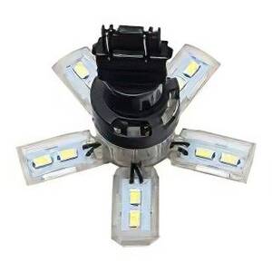 Tail Light Bulb