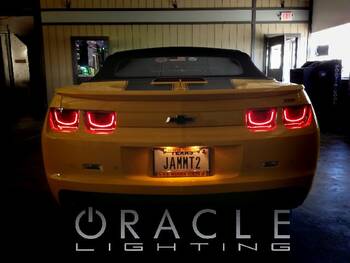 Tail Light Kit