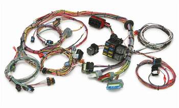 Engine Wiring Harness