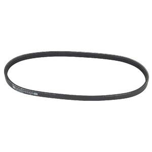 Serpentine Belt