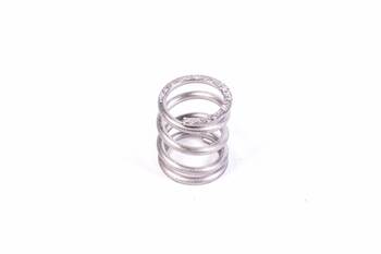 Fuel Pressure Regulator Spring