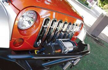 Grille Insert