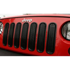 Grille Insert